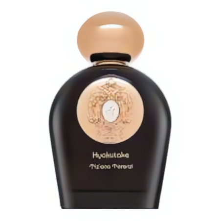 Tiziana Terenzi Hyakutake PAR U 100 ml