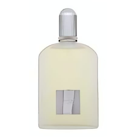 Tom Ford Grey Vetiver EDP M 100 ml