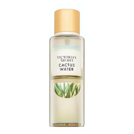 Victoria's Secret Cactus Water BOR W 250 ml
