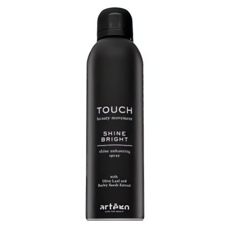 Artègo Touch Shine Bright Shine Enhancing Spray 250 ml