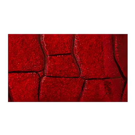 Rodinná červená manikúra Solingen z pravé kůže PL25204 DuKaS