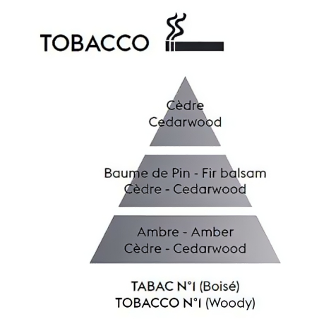 Náhradní náplň do difuzéru do auta Antiodour Tobacco (Car Diffuser Recharge/Refill) Maison Berger Paris - 2 ks