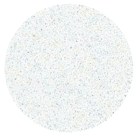 Náhradní brusný papír pro pedikérský kotouč Pro M hrubost 100 (White Refill Pads for Pedicure Disc) STALEKS - 50 ks