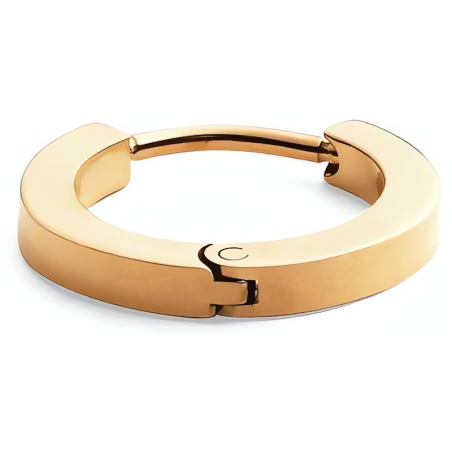 Minimalistická single náušnice z pozlacené oceli DW00400872 Daniel Wellington