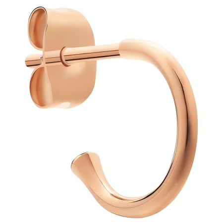 Pozlacené kruhové náušnice Charms DW00400767 Daniel Wellington