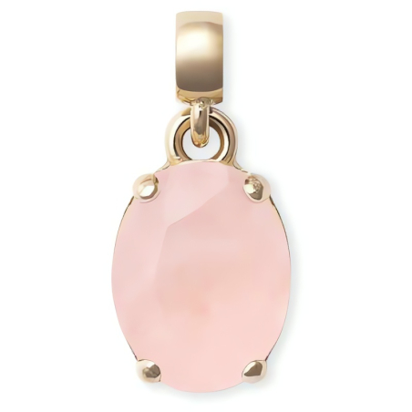 Půvabný pozlacený přívěsek s růženínem Charms DW00401459 Daniel Wellington