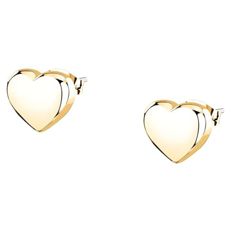 Pozlacené náušnice Srdíčka Intrecci SAZC16 Morellato