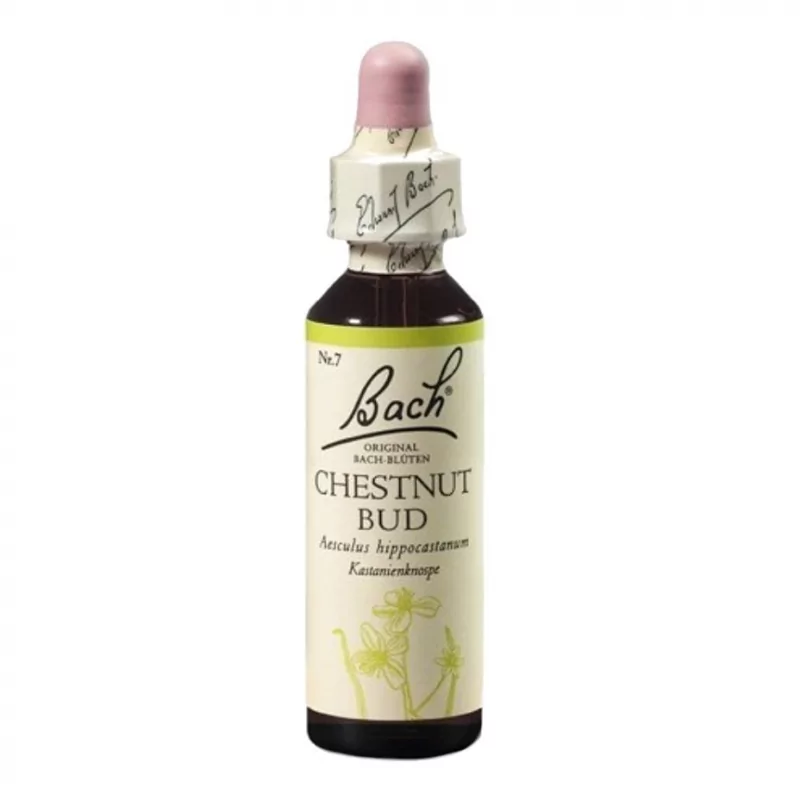 Esence Chestnut Bud Dr. Bach - 20 ml
