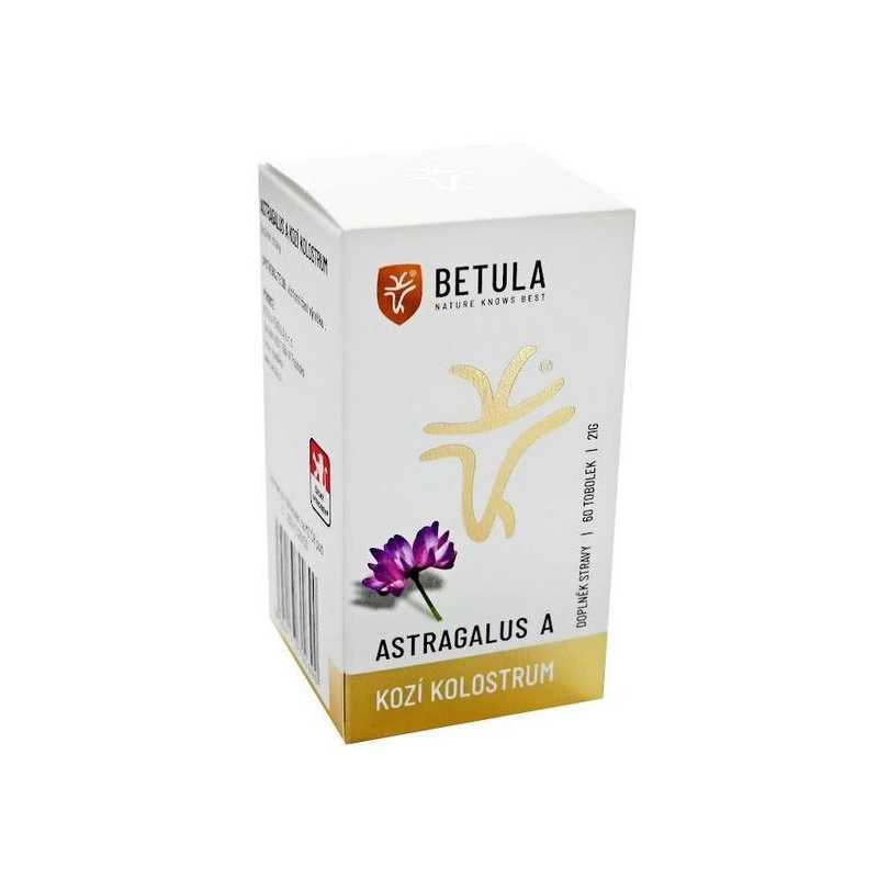 Astragalus a kozí kolostrum Betula pendula - 60 tobolek
