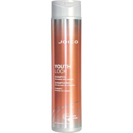 Šampon pro unavené a poškozené vlasy YouthLock (Shampoo) Aveda - 300 ml