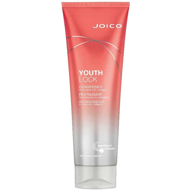 Kondicionér pro zralé vlasy YouthLock (Conditioner) Aveda - 250 ml