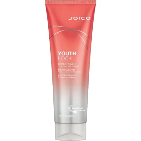 Kondicionér pro zralé vlasy YouthLock (Conditioner) Aveda - 1000 ml