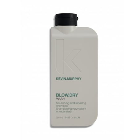 Vyživující a obnovující šampon Blow.Dry Wash (Nourishing and Repairing Shampoo) Aveda - 250 ml