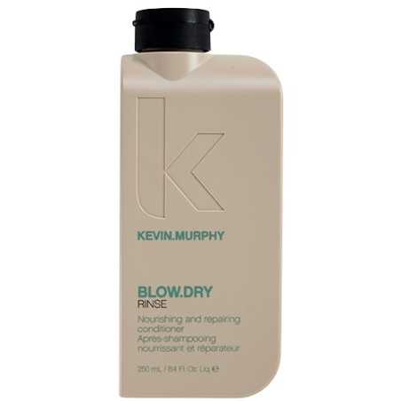Vyživující a obnovující kondicionér Blow.Dry Rinse (Nourishing and Repairing Conditioner) Aveda - 40 ml