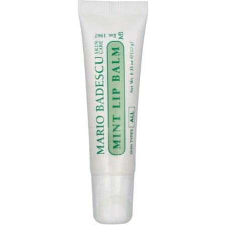 Hydratační balzám na rty s mátou (Mint Lip Balm) Aveda - 10 g