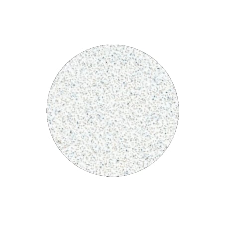 Náhradní brusný papír pro pedikérský kotouč Pro L hrubost 80 (White Refill Pads for Pedicure Disc) STALEKS - 50 ks