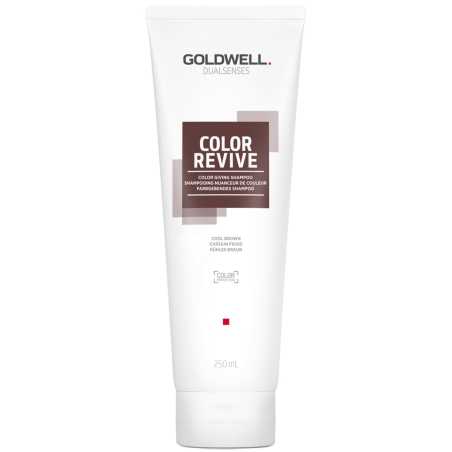 Šampon pro oživení barvy vlasů Cool Brown Dualsenses Color Revive (Color Giving Shampoo) Goldwell - 250 ml