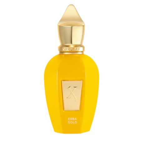 Erba Gold / parfém XerJoff - 100 ml