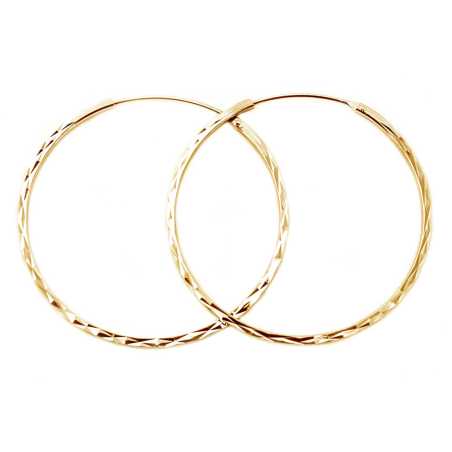 Módní pozlacené kruhové náušnice ze stříbra AGUC2439/SCS-GOLD Beneto / Průměr: 3 cm