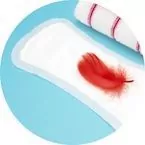 Menstruační vložky a tampony | Superpotraviny Naturalis