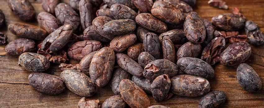 Objevte sílu kakaových bobů
