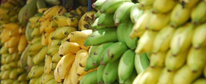 5 využití banánové mouky v kuchyni
