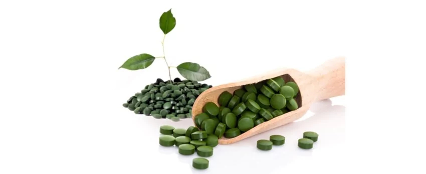 Rozdíl: chlorella a spirulina