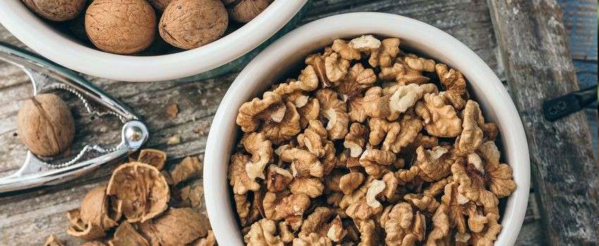 Ořechy jako důležitý zdroj tuků
