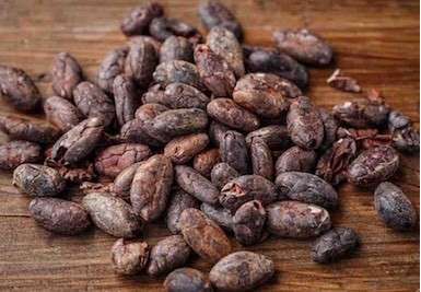 Objevte sílu kakaových bobů