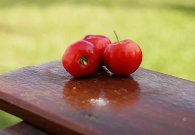 Vitamínová bomba - Acerola